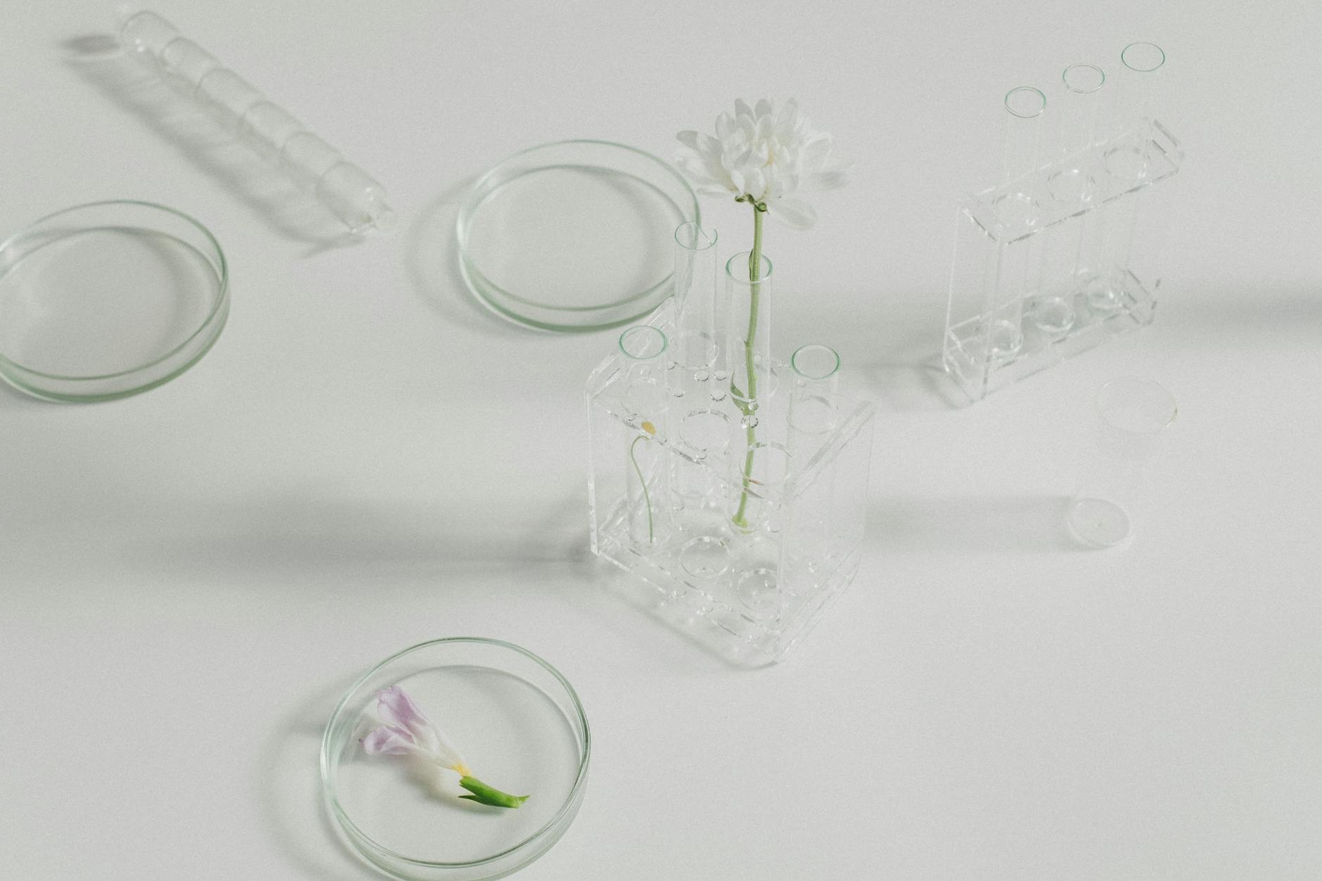 How Stem Cells Help with Anti-Aging