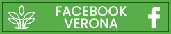 Social Media for True Bliss Medical Spa in Verona, NJ